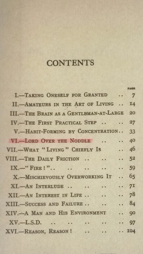 Table of Contents Showing "Lord Over the Noddle" Is Chapter VI